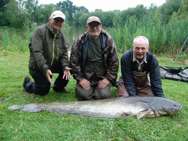 carp and cats france