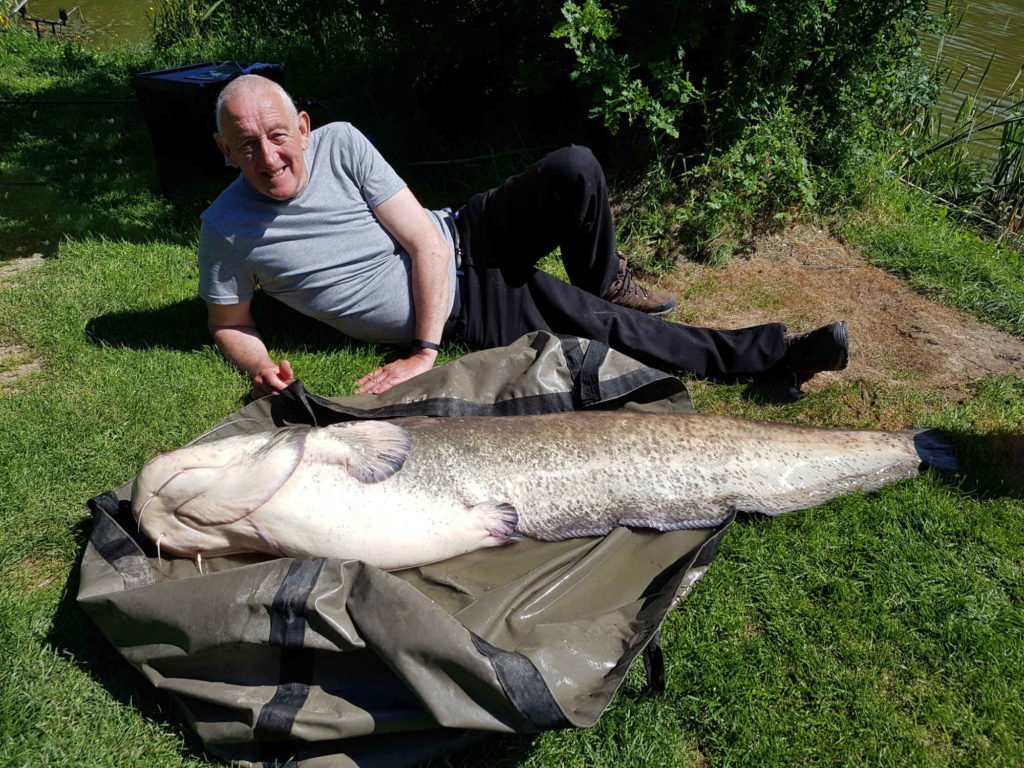 carp and cats france